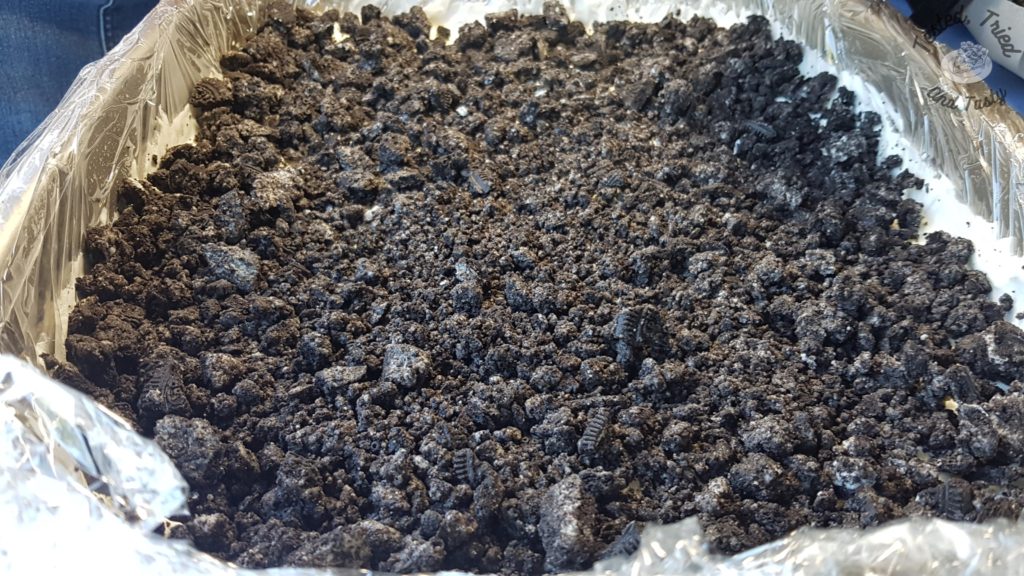 Oreo cookie crumbs on top of vanilla ice cream.