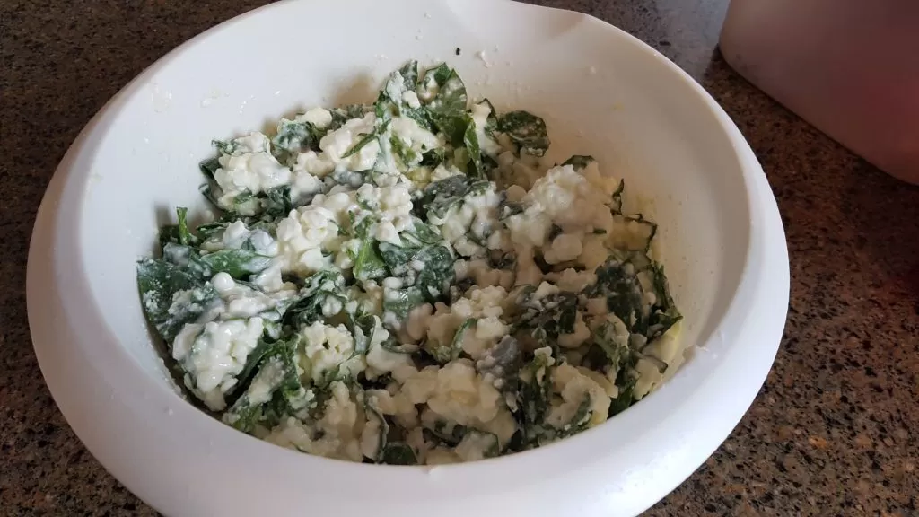 Cottage cheese spinach and parmesan cheese for lasagne.
