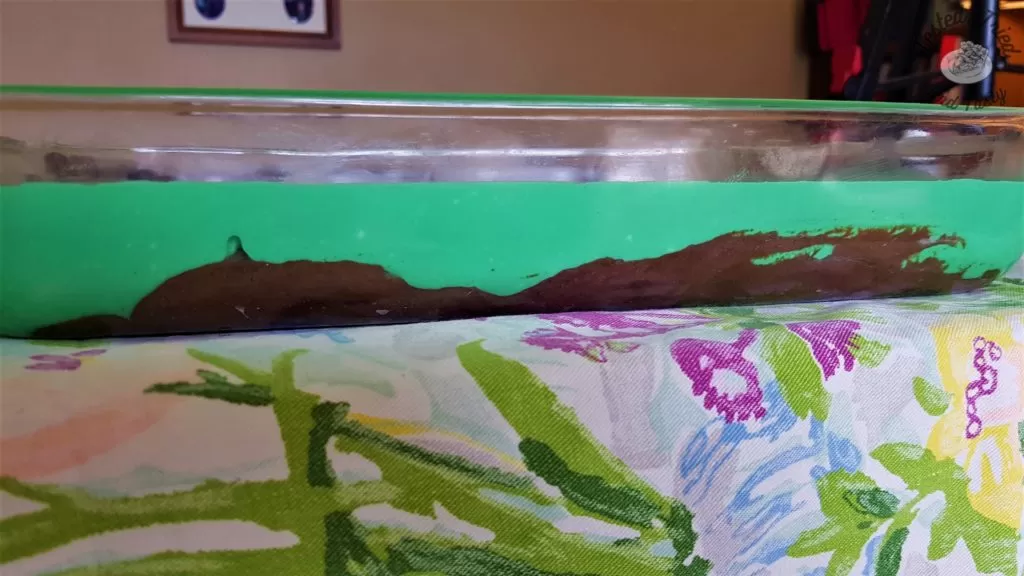 mint chocolate cheesecake cake on a flowered tablecloth.