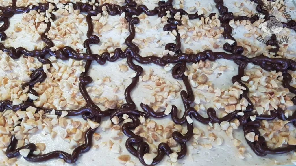 Frozen Drumstick Dessert finished.