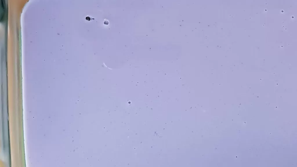 Purple jello mixed with water and evaporated milk poured onto the green layers in a 9x13 inch pan.