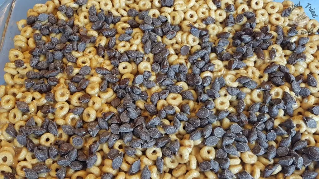 Chocolate chips sprinkled on the top of peanut butter cheerio bars.