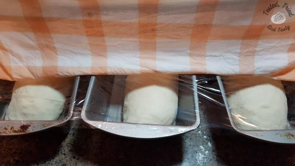 Covering the loaves with saran wrap and a wet towel.