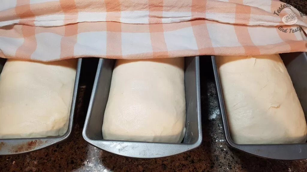 The loaves have doubled in size and are ready for baking.